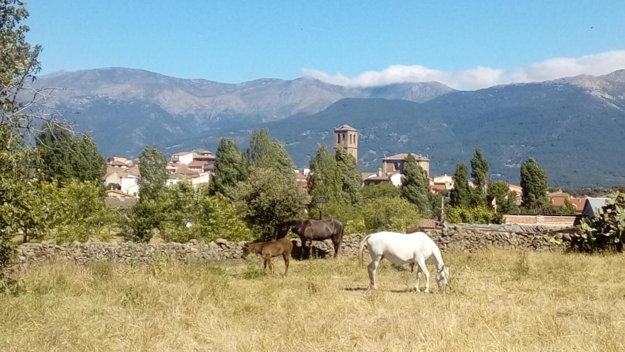 Tu Casa De Pueblo Βίλα La Iglesuela Εξωτερικό φωτογραφία