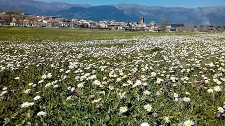 Tu Casa De Pueblo Βίλα La Iglesuela Εξωτερικό φωτογραφία